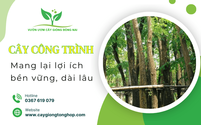 cây công trình